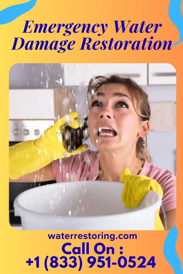 Emergency Water Damage Restoration in Hennepin, IL