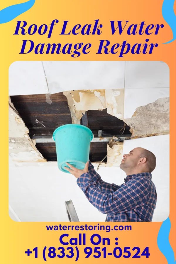 Roof Leak Water Damage Repair in Hennepin, IL