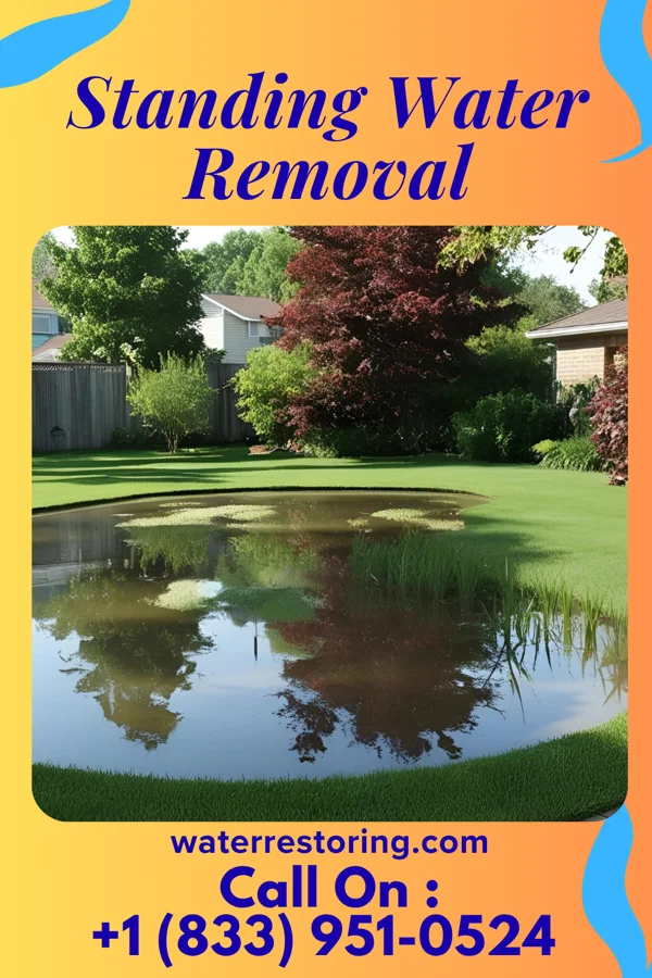 Standing Water Removal in Hennepin, IL